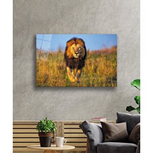 Aslan Cam Tablo 36x23 cm