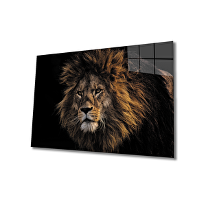 Aslan Cam Tablo 36x23 cm