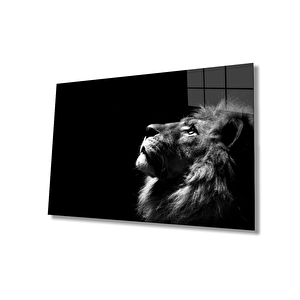 Aslan Cam Tablo 36x23 cm