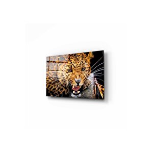 Aslan Cam Tablo 50x70 cm