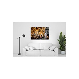 Aslan Cam Tablo 50x70 cm