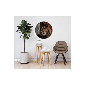 Aslan Yuvarlak Cam Tablo 4mm Dayanıklı Temperli Cam 30x30 cm