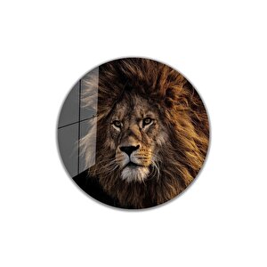Aslan Yuvarlak Cam Tablo 4mm Dayanıklı Temperli Cam 50x50 cm