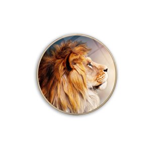 Aslan Yuvarlak Cam Tablo 30x30 cm