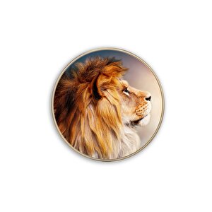 Aslan Yuvarlak Cam Tablo 30x30 cm