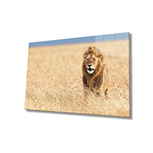 Aslan Cam Tablo 110x70 cm