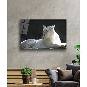 Aslan Cam Tablo 110x70 cm