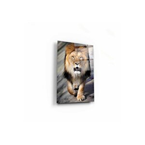 Aslan Cam Tablo 50x70 cm