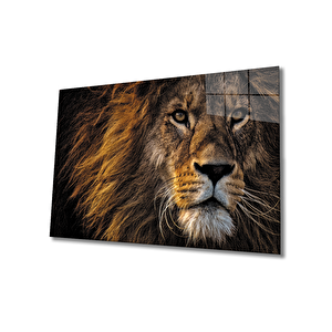 Aslan Cam Tablo