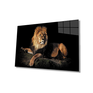 Aslan Cam Tablo 110x70 cm