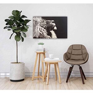 Aslan Cam Tablo 50x70 cm