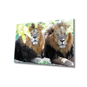 Aslan Cam Tablo 110x70 cm