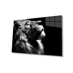 Aslan Cam Tablo 36x23 cm