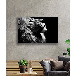 Aslan Cam Tablo 36x23 cm