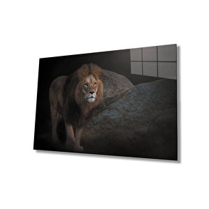 Aslan Cam Tablo 36x23 cm