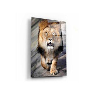Aslan Cam Tablo 50x70 cm