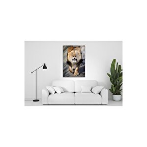 Aslan Cam Tablo 50x70 cm