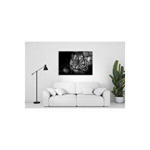 Aslan Cam Tablo 60x90 cm