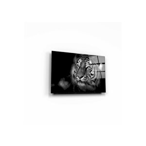 Aslan Cam Tablo 50x70 cm
