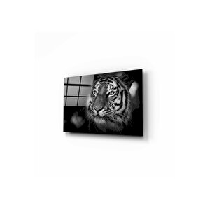 Aslan Cam Tablo 60x90 cm