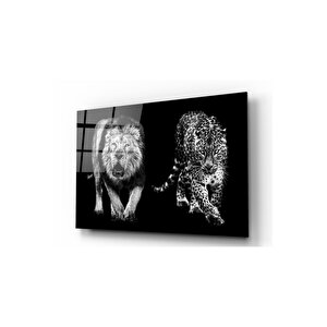 Aslan Ve Leopar Cam Tablo 50x70 cm