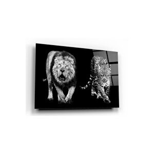 Aslan Ve Leopar Cam Tablo 50x70 cm