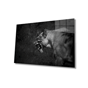 Aslan Cam Tablo 110x70 cm