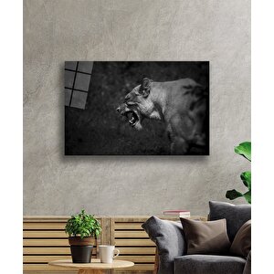 Aslan Cam Tablo 110x70 cm