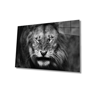 Aslan Cam Tablo 110x70 cm