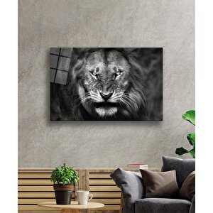 Aslan Cam Tablo 110x70 cm