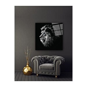 Aslan Cam Tablo 30x30 cm