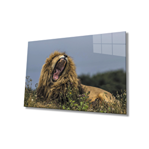 Aslan Cam Tablo 36x23 cm