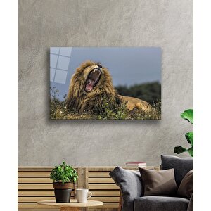 Aslan Cam Tablo 36x23 cm