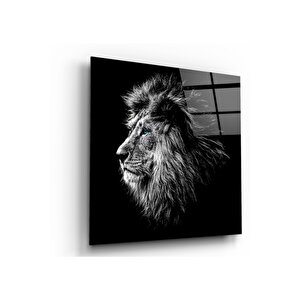 Aslan Cam Tablo 50x50 cm