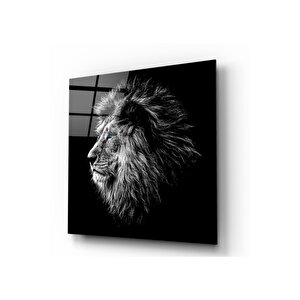 Aslan Cam Tablo 50x50 cm