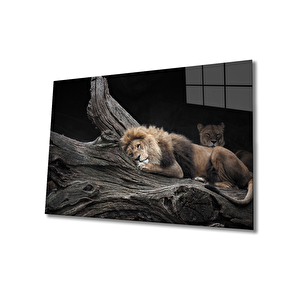 Aslan Cam Tablo 36x23 cm