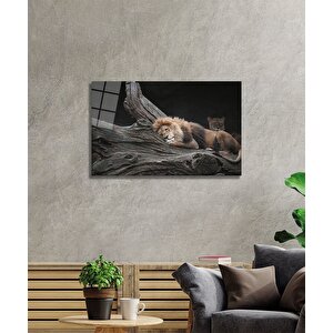 Aslan Cam Tablo 36x23 cm