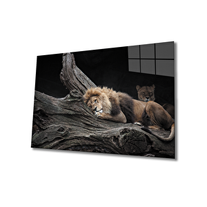 Aslan Cam Tablo 90x60 cm