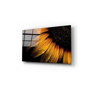 Papatya Ve Yağmur Damlası Cam Tablo 50x70 cm