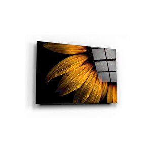 Papatya Ve Yağmur Damlası Cam Tablo 50x70 cm