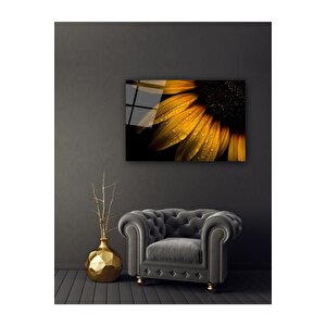 Papatya Ve Yağmur Damlası Cam Tablo 50x70 cm