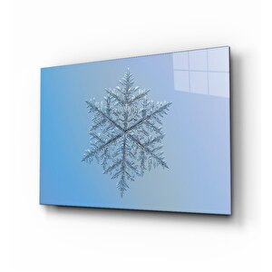 Kar Tanesi Cam Tablo 50x70 cm