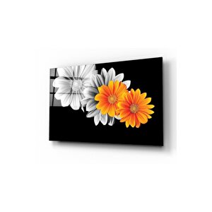 Papatyalar Cam Tablo 50x70 cm