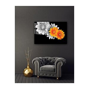 Papatyalar Cam Tablo 50x70 cm