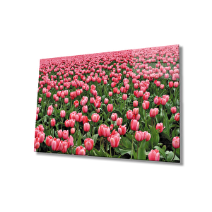 Pembe Lale Çiçek Pink Tulip Flower 110x70 cm