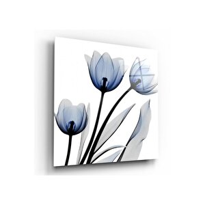 Lale Cam Tablo 50x50 cm