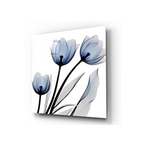 Lale Cam Tablo 50x50 cm