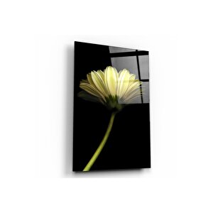 Papatya Cam Tablo 60x90 cm