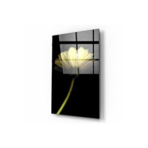 Papatya Cam Tablo 60x90 cm