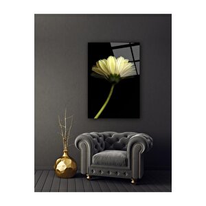 Papatya Cam Tablo 60x90 cm